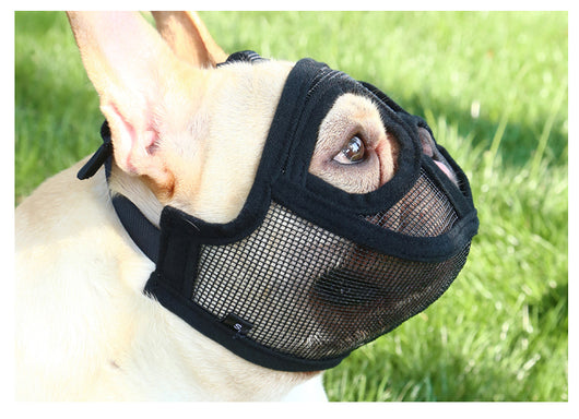 Bozal Suave Antiladridos y Mordidas para Cachorros - Image 11