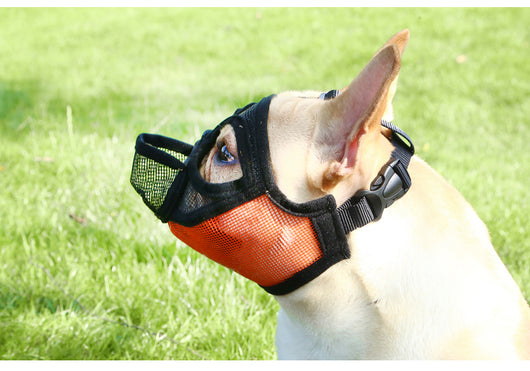 Bozal Suave Antiladridos y Mordidas para Cachorros - Image 14