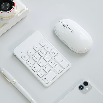 Kit Inalámbrico Teclado y Ratón Bluetooth para MacBook y iPad - Image 8