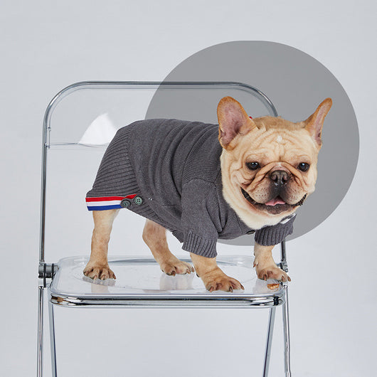 Suéter Tejido Cálido para Perros Pequeños y Medianos - Ropa de Abrigo de Dos Patas - Image 5