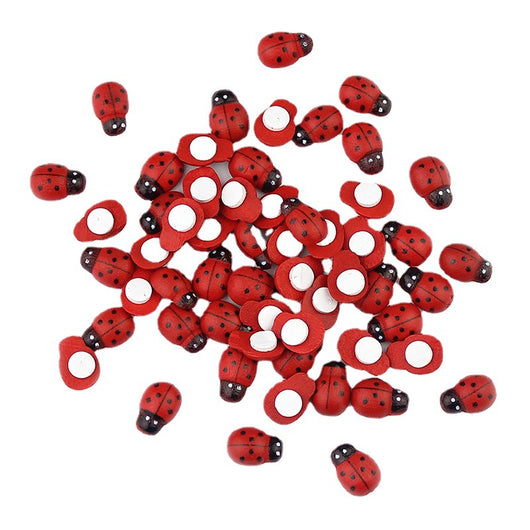 Escarabajo Mariquita de Madera Roja Melange - Coccinella Septempunctata - Image 8