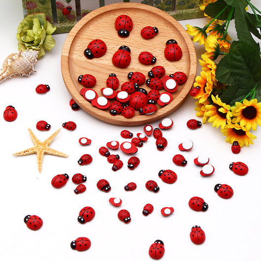 Escarabajo Mariquita de Madera Roja Melange - Coccinella Septempunctata