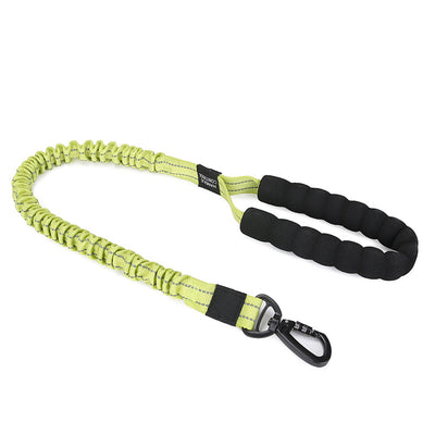 Cuerda Elástica de Tracción para Perros Pequeños, Medianos y Grandes - Image 8