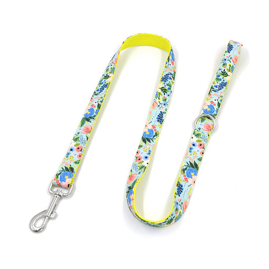 Correa y Collar para Perros Grandes - Set Completo - Image 17