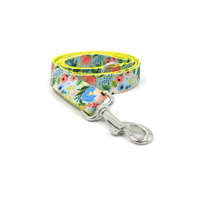 Correa y Collar para Perros Grandes - Set Completo - Image 15