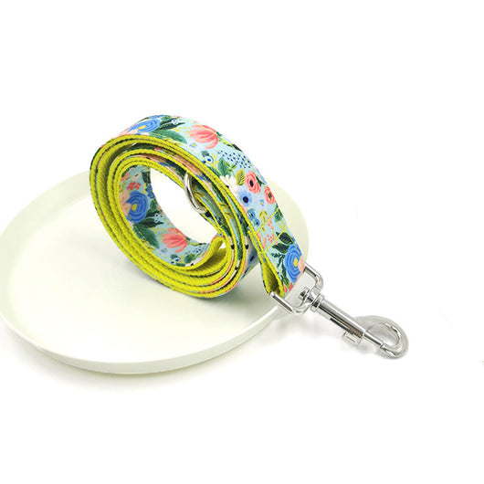 Correa y Collar para Perros Grandes - Set Completo - Image 14