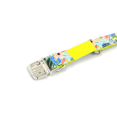 Correa y Collar para Perros Grandes - Set Completo - Image 18