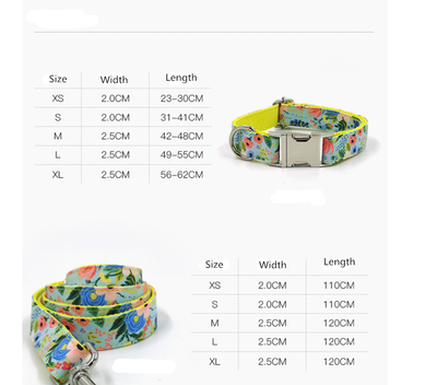 Correa y Collar para Perros Grandes - Set Completo - Image 11
