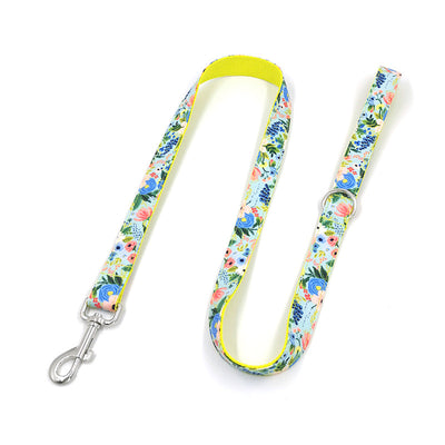 Correa y Collar para Perros Grandes - Set Completo - Image 7
