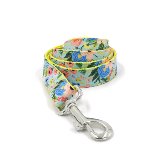 Correa y Collar para Perros Grandes - Set Completo - Image 9