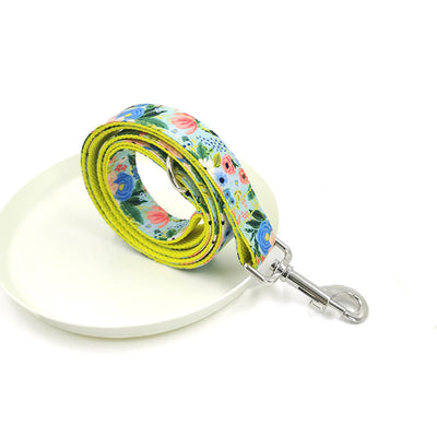 Correa y Collar para Perros Grandes - Set Completo - Image 5