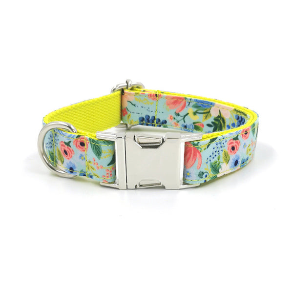 Correa y Collar para Perros Grandes - Set Completo