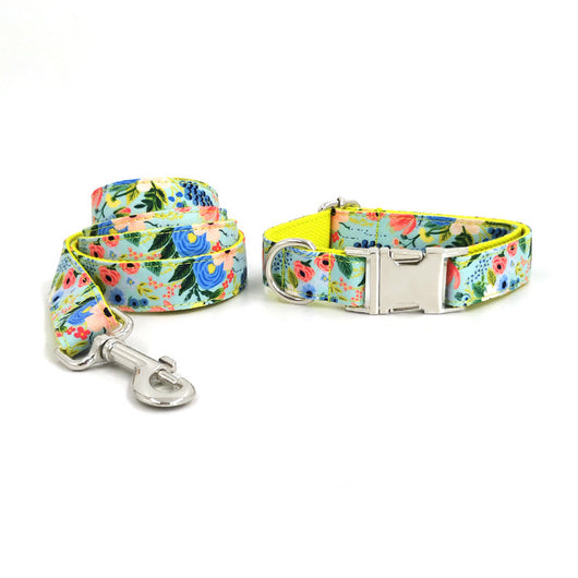 Correa y Collar para Perros Grandes - Set Completo