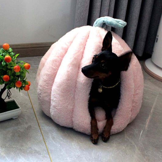 Casa para Mascotas Acolchada Premium - Cama Térmica Desmontable y Lavable - Image 5