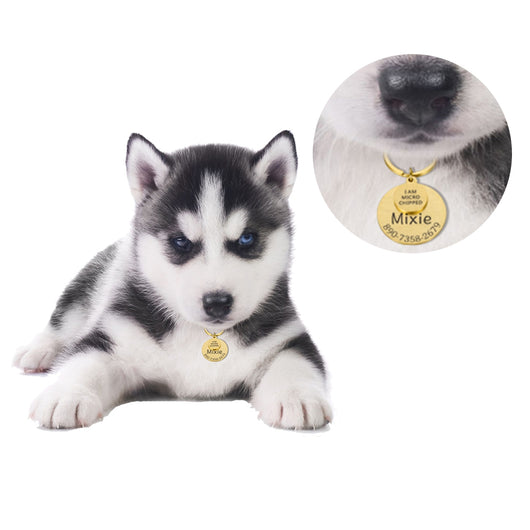 Placa de Identificación Personalizada para Mascotas - Llavero Divertido - Image 4