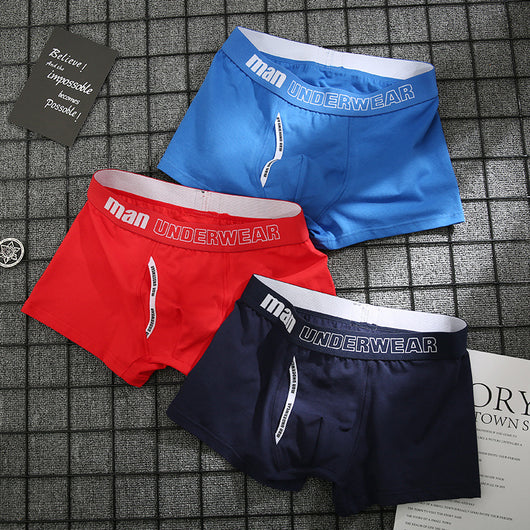 Pantalones Cortos Deportivos Transpirables - Image 2