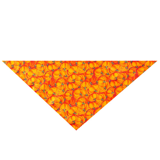 Toalla Absorbente para Mascotas Halloween - Image 4