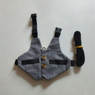 Arnés y Vestido para Conejo - Paseos Seguros y Cómodos - Image 9