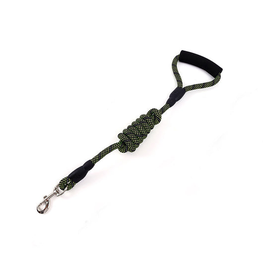 Correa de Tracción Dorada para Perros - Image 7