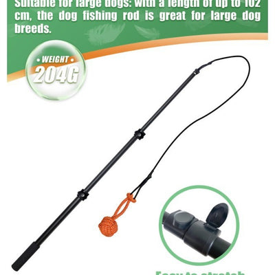 Vara Extensible de Adiestramiento para Perros con Diseño Divertido - Image 3