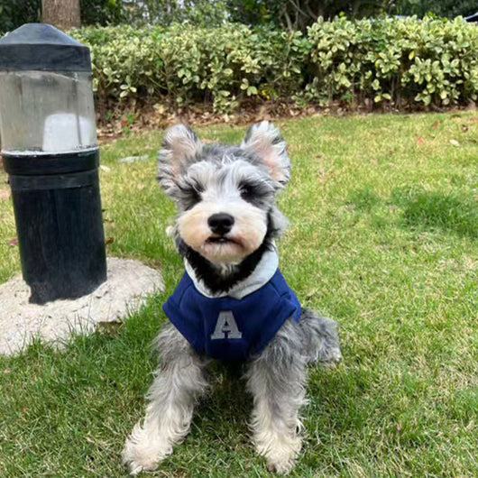 Suéter Reflectante Ajustado para Perros y Gatos - Diseño Azul y Blanco - Image 14