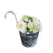Balde Vintage de Hojalata con Flores