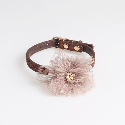 Collar para Mascotas con Flor Decorativa - Image 14