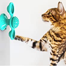 Gray tabby cat playing with a teal windmill cat toy featuring a suction cup base, textured ball, and colorful spinning paddles. - Image 10