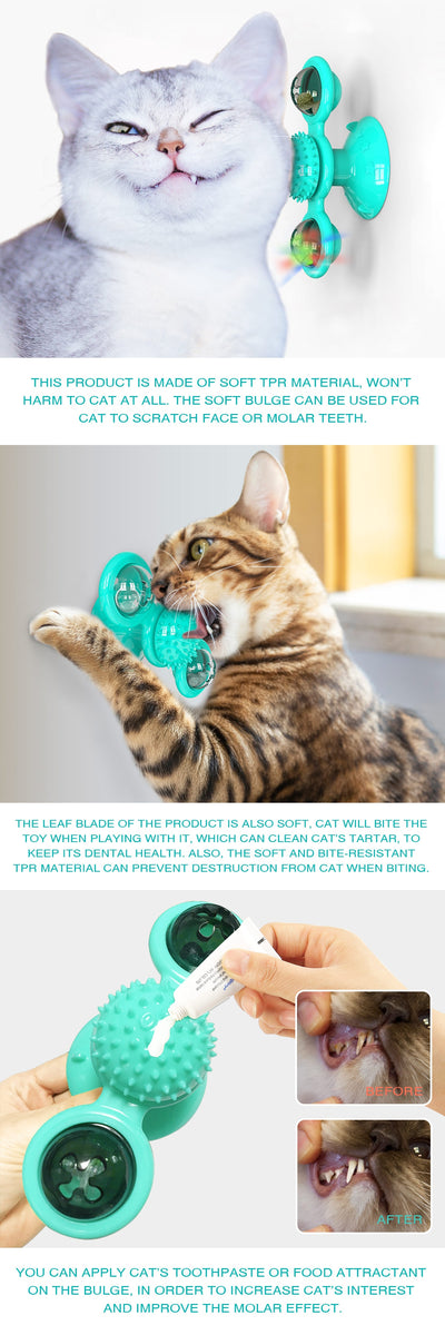 Gray tabby cat playing with a teal windmill cat toy featuring a suction cup base, textured ball, and colorful spinning paddles. - Image 18