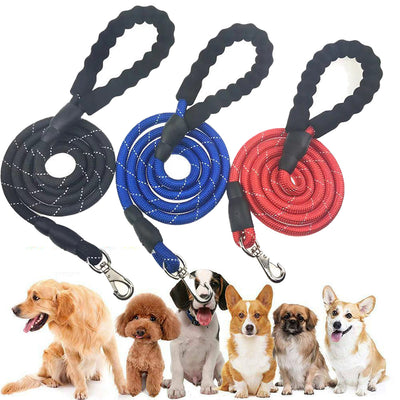 Correa Elástica para Correr con Cinturón Ajustable - Arnés Reflectante para Perros - Image 22