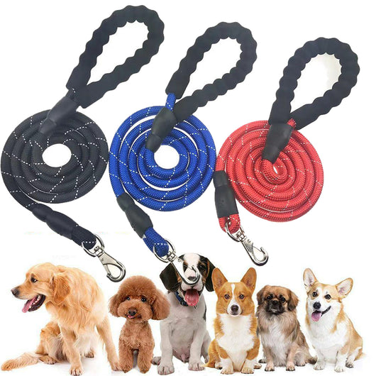 Correa Elástica para Correr con Cinturón Ajustable - Arnés Reflectante para Perros - Image 22