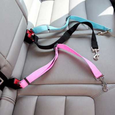 Correa Retráctil Automática para Perros y Gatos - 3m y 5m - Image 13
