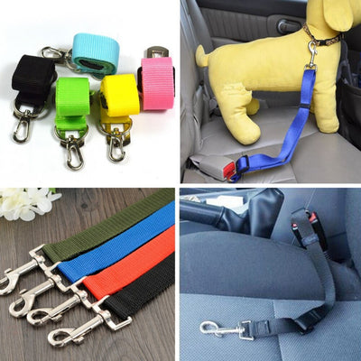 Correa Retráctil Automática para Perros y Gatos - 3m y 5m - Image 14