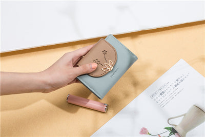Cartera Compacta para Tarjetas - Image 9