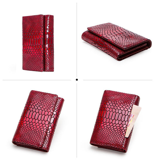 Billetera de Lujo Pochette Mujer Cuero Genuino Patrón Serpiente Cartera Larga - Image 17