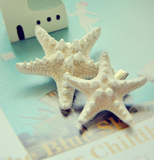 Carpeta Organizadora para Resorts y Departamentos Forestales - Image 8