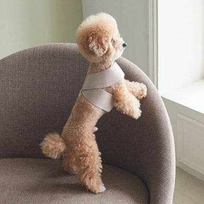 Arnés de Pecho para Perro con Correa de Algodón Tejido - Image 10
