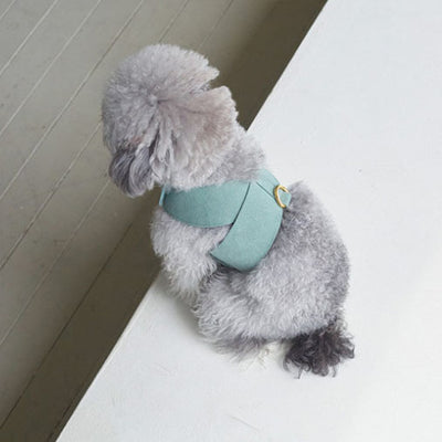 Arnés de Pecho para Perro con Correa de Algodón Tejido - Image 13