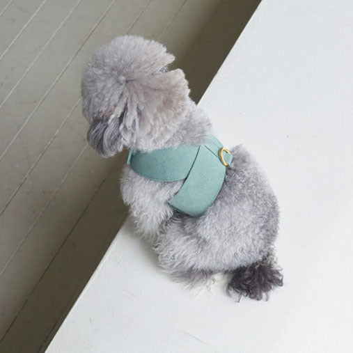 Arnés de Pecho para Perro con Correa de Algodón Tejido - Image 13