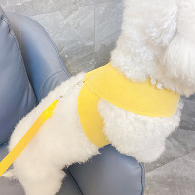 Arnés de Pecho para Perro con Correa de Algodón Tejido - Image 16