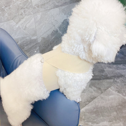 Arnés de Pecho para Perro con Correa de Algodón Tejido - Image 19