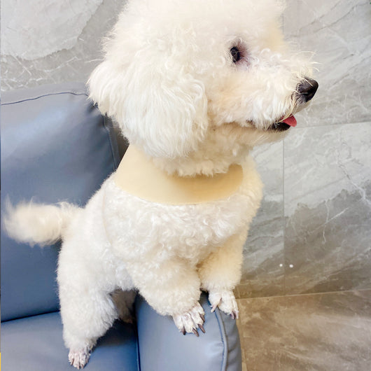 Arnés de Pecho para Perro con Correa de Algodón Tejido - Image 20