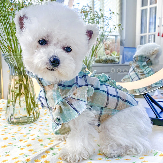 Camisa Fresca de Cuadros para Gatos - Ropa Ligera de Verano - Image 7
