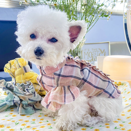 Camisa Fresca de Cuadros para Gatos - Ropa Ligera de Verano - Image 15