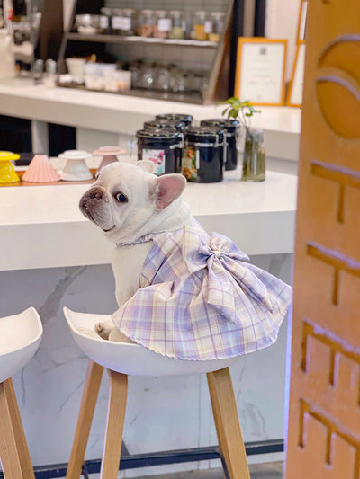 Falda Arnés para Perros JK Transpirable - Ropa Cómoda y Elegante - Image 9