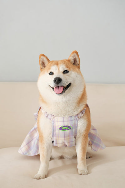 Falda Arnés para Perros JK Transpirable - Ropa Cómoda y Elegante - Image 10