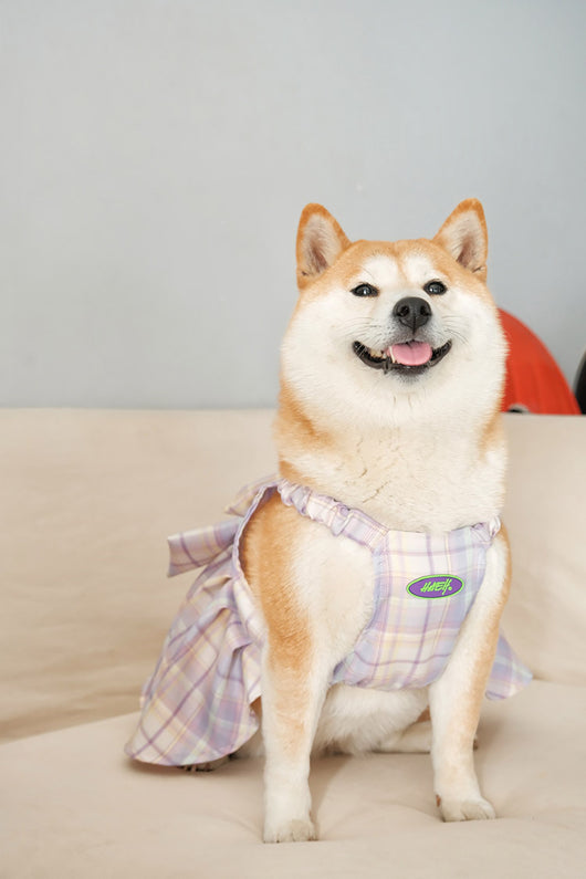 Falda Arnés para Perros JK Transpirable - Ropa Cómoda y Elegante - Image 13