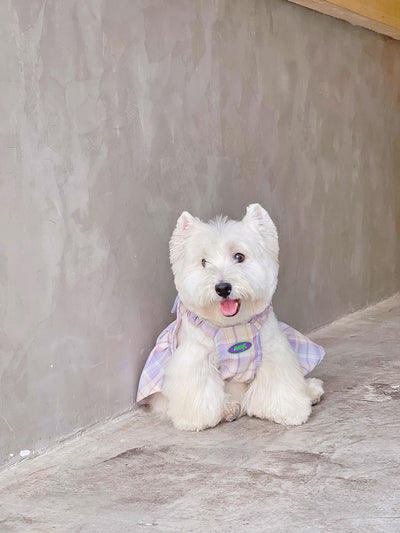 Falda Arnés para Perros JK Transpirable - Ropa Cómoda y Elegante - Image 14
