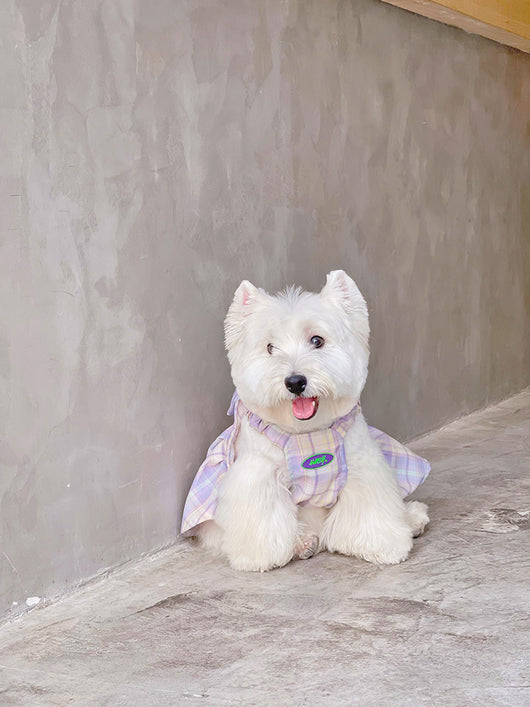 Falda Arnés para Perros JK Transpirable - Ropa Cómoda y Elegante - Image 14
