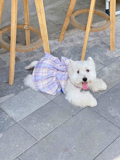 Falda Arnés para Perros JK Transpirable - Ropa Cómoda y Elegante - Image 15